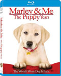 Marley and Me: The Puppy Years - Blu-ray DVD / romantic comedy DVD / drama DVD review