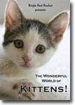 The Wonderful World of Kittens! - documentary DVD / animals and pets DVD review