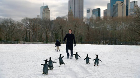 *Mr. Popper's Penguins (Blu-ray / DVD / Digital Copy)*