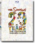 The Simpsons: The Complete Twentieth Season - Blu-ray / television series DVD / comedy series DVD / animation DVD / sitcom DVD review